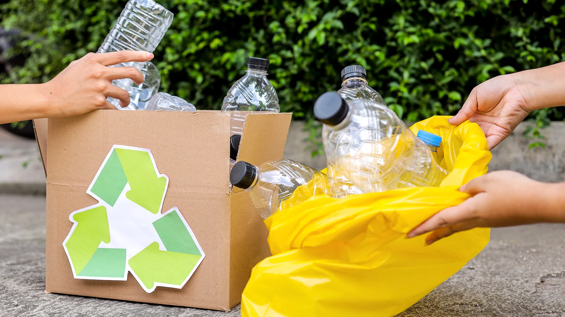 Recyclage Atelier Recyclage